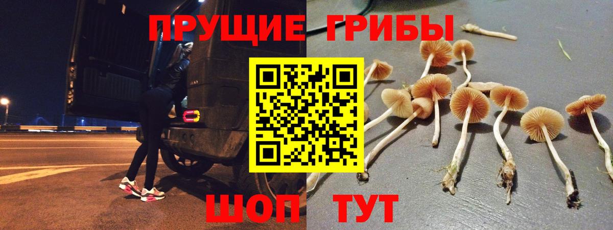 Галлюциногенные грибы ЛСД Петропавловск-Камчатский